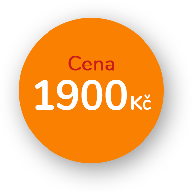 Cena plaveckého příměstského tábora Cena plaveckého příměstského tábora